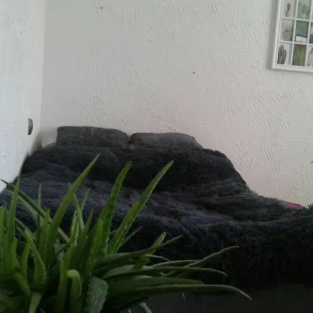 Apartment Skalny