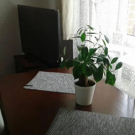 Skalny Apartment