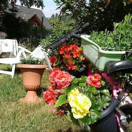 Apartament Skalny