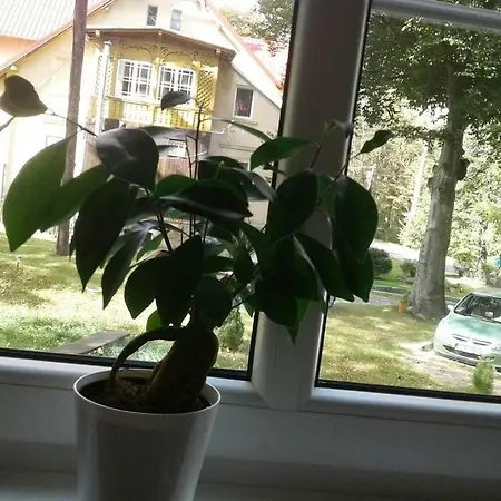 Apartament Skalny *